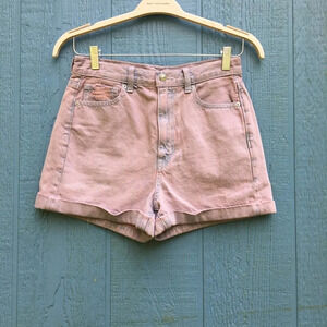 American Eagle Outfitters Women's Size 4 Purple Mom Shorts